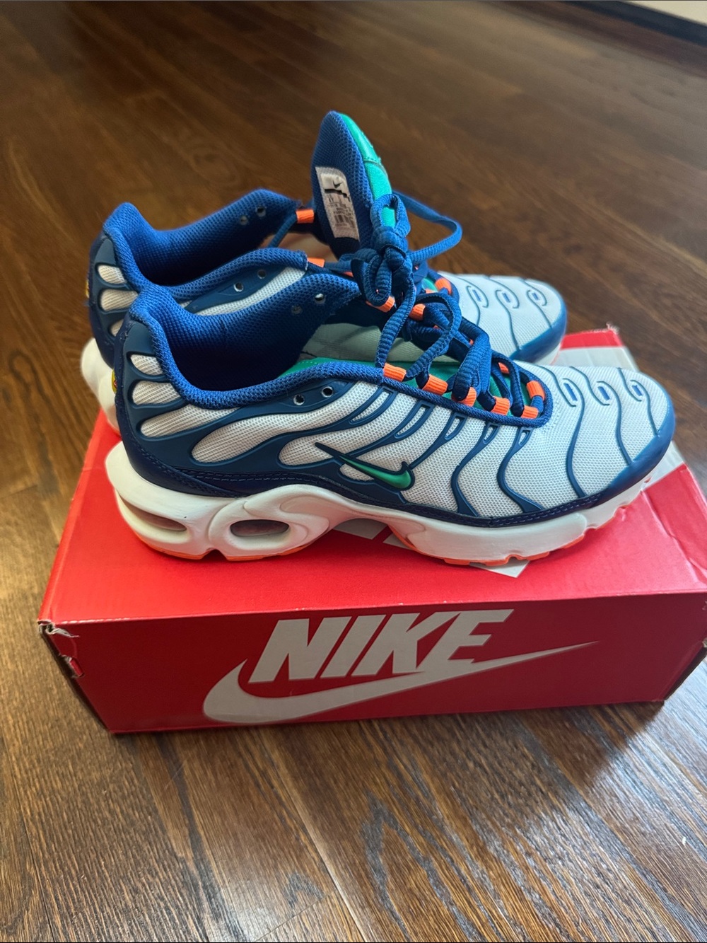 Nike Kids' Blue and White Athletic Shoes